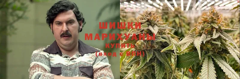 купить наркоту  Югорск  ссылка на мегу как зайти  Марихуана White Widow 